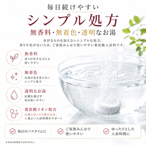 【潤炭酸SPA BS 】　(60g 10錠入り）